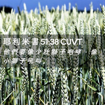 Picture 02 - 耶 利 米 書 51:38 CUVT - 他 們 要 像 少 壯 獅 子 咆 哮 ， 像 - Bible Verse Picture