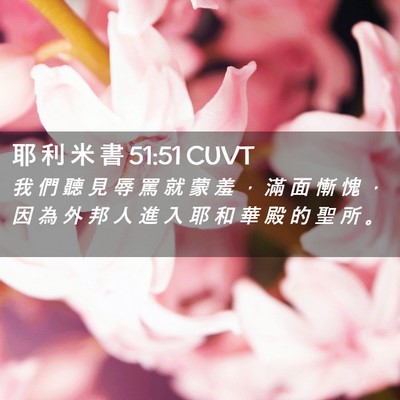Picture 02 - 耶 利 米 書 51:51 CUVT - 我 們 聽 見 辱 罵 就 蒙 羞 ， 滿 面 - Bible Verse Picture
