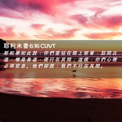 Picture 02 - 耶 利 米 書 6:16 CUVT - 耶 和 華 如 此 說 ： 你 們 當 站 在 - Bible Verse Picture
