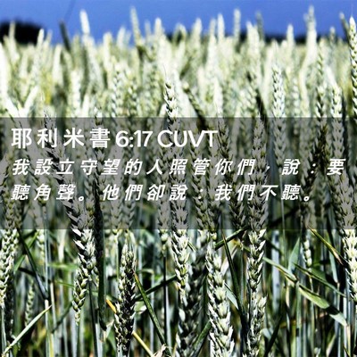 Picture 02 - 耶 利 米 書 6:17 CUVT - 我 設 立 守 望 的 人 照 管 你 們 ， - Bible Verse Picture