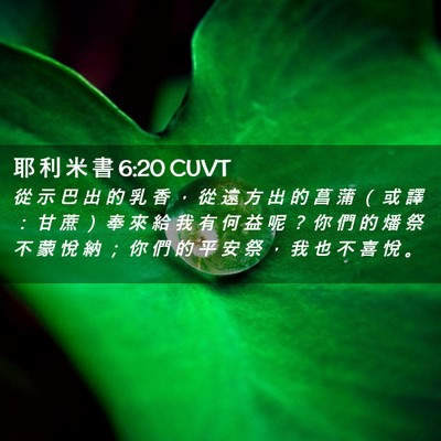 Picture 02 - 耶 利 米 書 6:20 CUVT - 從 示 巴 出 的 乳 香 ， 從 遠 方 出 - Bible Verse Picture