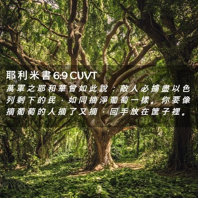 Picture 02 - 耶 利 米 書 6:9 CUVT - 萬 軍 之 耶 和 華 曾 如 此 說 ： 敵 - Bible Verse Picture