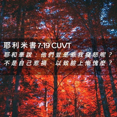Picture 02 - 耶 利 米 書 7:19 CUVT - 耶 和 華 說 ： 他 們 豈 是 惹 我 發 - Bible Verse Picture
