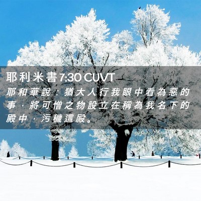 Picture 02 - 耶 利 米 書 7:30 CUVT - 耶 和 華 說 ： 猶 大 人 行 我 眼 中 - Bible Verse Picture