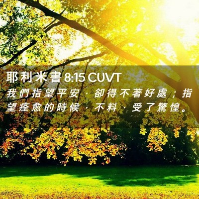 Picture 02 - 耶 利 米 書 8:15 CUVT - 我 們 指 望 平 安 ， 卻 得 不 著 好 - Bible Verse Picture
