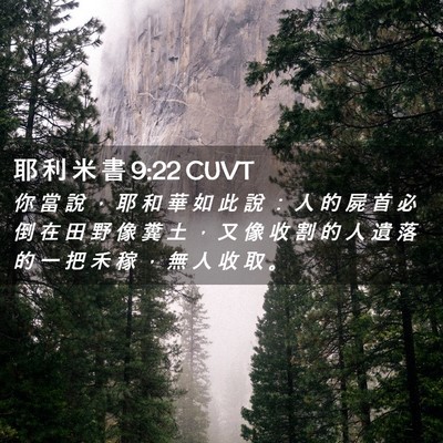 Picture 02 - 耶 利 米 書 9:22 CUVT - 你 當 說 ， 耶 和 華 如 此 說 ： 人 - Bible Verse Picture