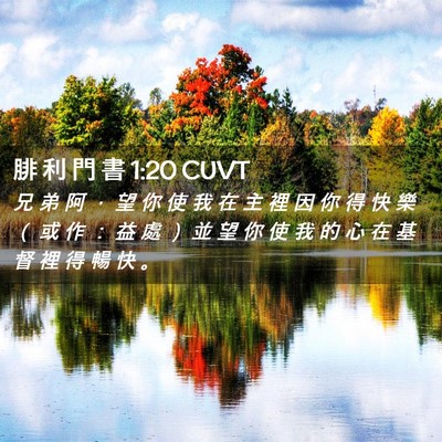 Picture 02 - 腓 利 門 書 1:20 CUVT - 兄 弟 阿 ， 望 你 使 我 在 主 裡 因 - Bible Verse Picture
