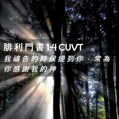 Picture 02 - 腓 利 門 書 1:4 CUVT - 我 禱 告 的 時 候 提 到 你 ， 常 為 - Bible Verse Picture