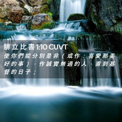 Picture 02 - 腓 立 比 書 1:10 CUVT - 使 你 們 能 分 別 是 非 （ 或 作 ： - Bible Verse Picture