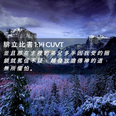 Picture 02 - 腓 立 比 書 1:14 CUVT - 並 且 那 在 主 裡 的 弟 兄 多 半 因 - Bible Verse Picture