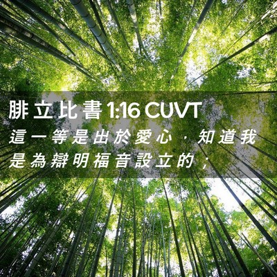 Picture 02 - 腓 立 比 書 1:16 CUVT - 這 一 等 是 出 於 愛 心 ， 知 道 我 - Bible Verse Picture
