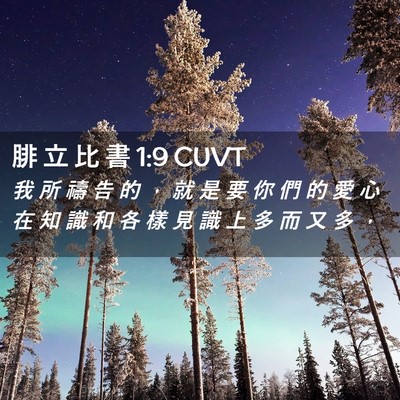 Picture 02 - 腓 立 比 書 1:9 CUVT - 我 所 禱 告 的 ， 就 是 要 你 們 的 - Bible Verse Picture