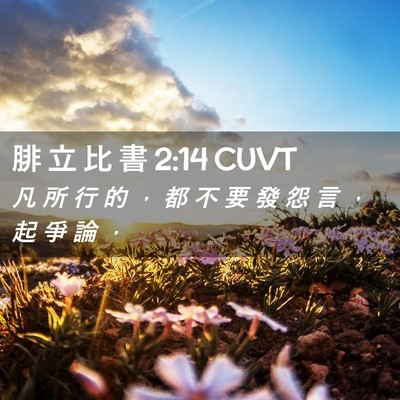 Picture 02 - 腓 立 比 書 2:14 CUVT - 凡 所 行 的 ， 都 不 要 發 怨 言 ， - Bible Verse Picture