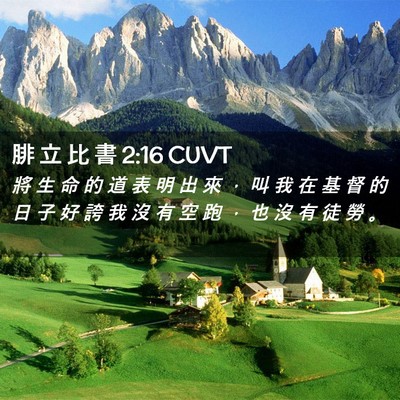 Picture 02 - 腓 立 比 書 2:16 CUVT - 將 生 命 的 道 表 明 出 來 ， 叫 我 - Bible Verse Picture