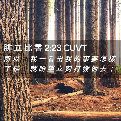 Picture 02 - 腓 立 比 書 2:23 CUVT - 所 以 ， 我 一 看 出 我 的 事 要 怎 - Bible Verse Picture