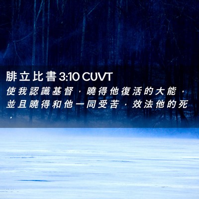 Picture 02 - 腓 立 比 書 3:10 CUVT - 使 我 認 識 基 督 ， 曉 得 他 復 活 - Bible Verse Picture