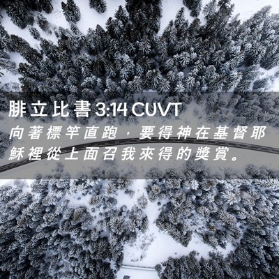 Picture 02 - 腓 立 比 書 3:14 CUVT - 向 著 標 竿 直 跑 ， 要 得 神 在 基 - Bible Verse Picture