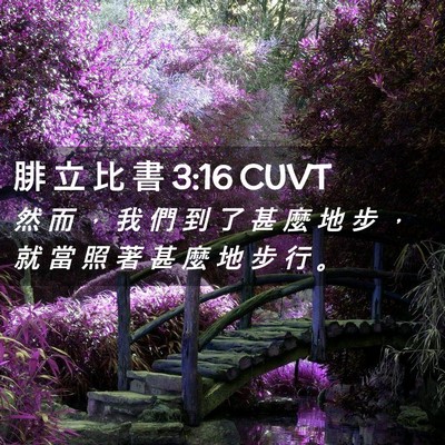 Picture 02 - 腓 立 比 書 3:16 CUVT - 然 而 ， 我 們 到 了 甚 麼 地 步 ， - Bible Verse Picture