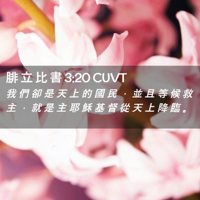 Picture 02 - 腓 立 比 書 3:20 CUVT - 我 們 卻 是 天 上 的 國 民 ， 並 且 - Bible Verse Picture