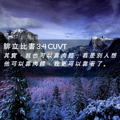 Picture 02 - 腓 立 比 書 3:4 CUVT - 其 實 ， 我 也 可 以 靠 肉 體 ； 若 - Bible Verse Picture