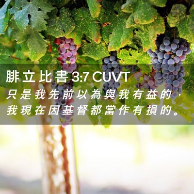 Picture 02 - 腓 立 比 書 3:7 CUVT - 只 是 我 先 前 以 為 與 我 有 益 的 - Bible Verse Picture