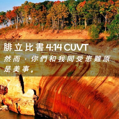 Picture 02 - 腓 立 比 書 4:14 CUVT - 然 而 ， 你 們 和 我 同 受 患 難 原 - Bible Verse Picture