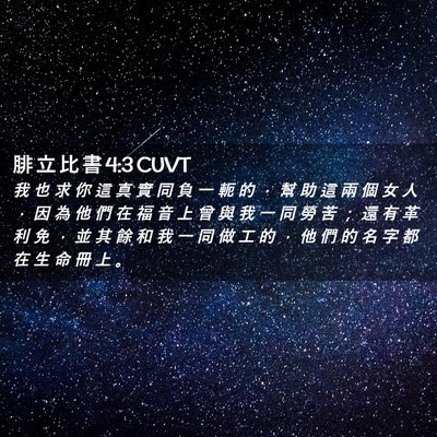 Picture 02 - 腓 立 比 書 4:3 CUVT - 我 也 求 你 這 真 實 同 負 一 軛 的 - Bible Verse Picture