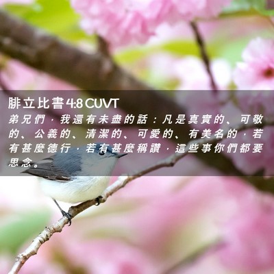Picture 02 - 腓 立 比 書 4:8 CUVT - 弟 兄 們 ， 我 還 有 未 盡 的 話 ： - Bible Verse Picture