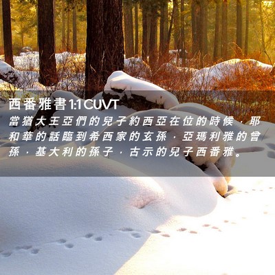 Picture 02 - 西 番 雅 書 1:1 CUVT - 當 猶 大 王 亞 們 的 兒 子 約 西 亞 - Bible Verse Picture