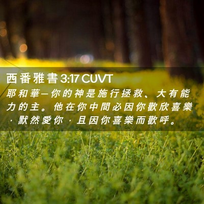 Picture 02 - 西 番 雅 書 3:17 CUVT - 耶 和 華 ─ 你 的 神 是 施 行 拯 救 - Bible Verse Picture