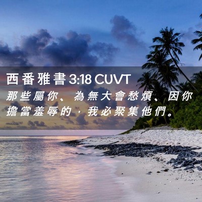 Picture 02 - 西 番 雅 書 3:18 CUVT - 那 些 屬 你 、 為 無 大 會 愁 煩 、 - Bible Verse Picture
