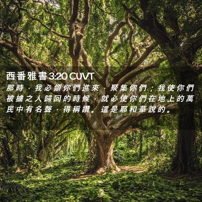 Picture 02 - 西 番 雅 書 3:20 CUVT - 那 時 ， 我 必 領 你 們 進 來 ， 聚 - Bible Verse Picture