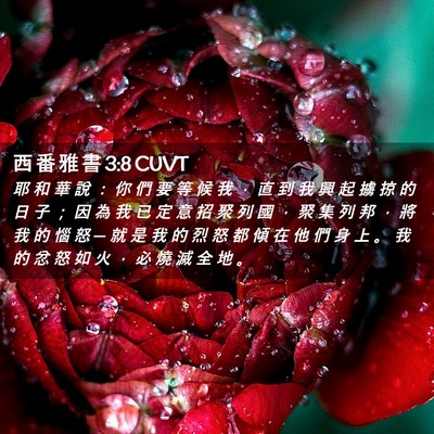 Picture 02 - 西 番 雅 書 3:8 CUVT - 耶 和 華 說 ： 你 們 要 等 候 我 ， - Bible Verse Picture