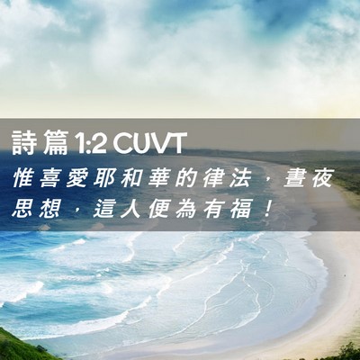 Picture 02 - 詩 篇 1:2 CUVT - 惟 喜 愛 耶 和 華 的 律 法 ， 晝 夜 - Bible Verse Picture