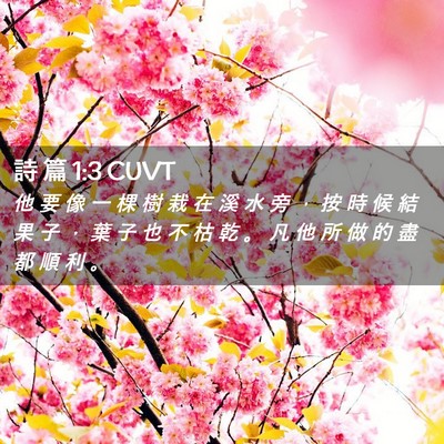 Picture 02 - 詩 篇 1:3 CUVT - 他 要 像 一 棵 樹 栽 在 溪 水 旁 ， - Bible Verse Picture