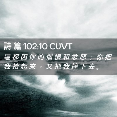 Picture 02 - 詩 篇 102:10 CUVT - 這 都 因 你 的 惱 恨 和 忿 怒 ； 你 - Bible Verse Picture