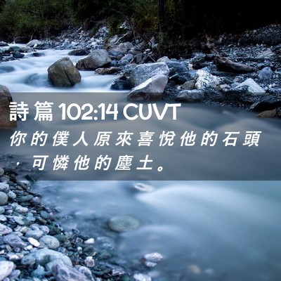 Picture 02 - 詩 篇 102:14 CUVT - 你 的 僕 人 原 來 喜 悅 他 的 石 頭 - Bible Verse Picture