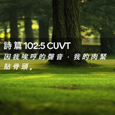 Picture 02 - 詩 篇 102:5 CUVT - 因 我 唉 哼 的 聲 音 ， 我 的 肉 緊 - Bible Verse Picture