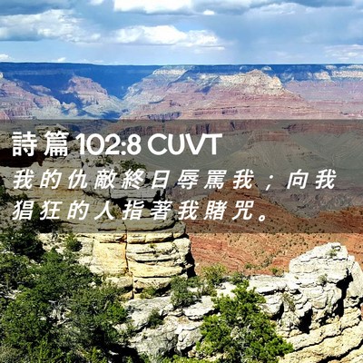 Picture 02 - 詩 篇 102:8 CUVT - 我 的 仇 敵 終 日 辱 罵 我 ； 向 我 - Bible Verse Picture