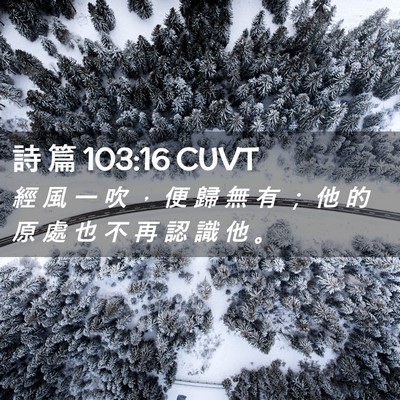Picture 02 - 詩 篇 103:16 CUVT - 經 風 一 吹 ， 便 歸 無 有 ； 他 的 - Bible Verse Picture