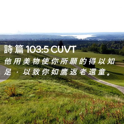 Picture 02 - 詩 篇 103:5 CUVT - 他 用 美 物 使 你 所 願 的 得 以 知 - Bible Verse Picture