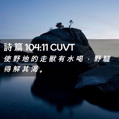 Picture 02 - 詩 篇 104:11 CUVT - 使 野 地 的 走 獸 有 水 喝 ， 野 驢 - Bible Verse Picture