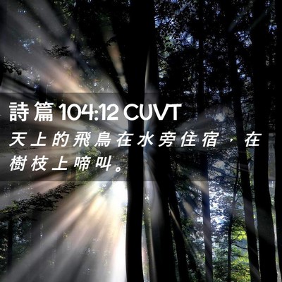 Picture 02 - 詩 篇 104:12 CUVT - 天 上 的 飛 鳥 在 水 旁 住 宿 ， 在 - Bible Verse Picture