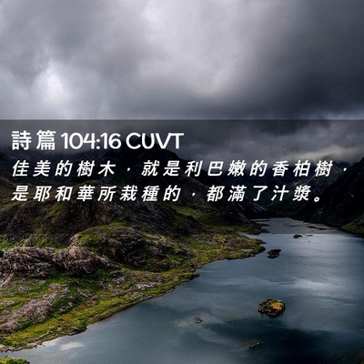 Picture 02 - 詩 篇 104:16 CUVT - 佳 美 的 樹 木 ， 就 是 利 巴 嫩 的 - Bible Verse Picture