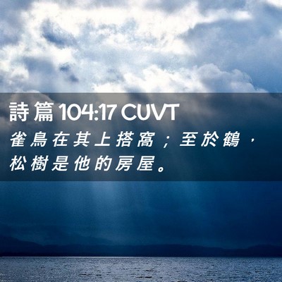 Picture 02 - 詩 篇 104:17 CUVT - 雀 鳥 在 其 上 搭 窩 ； 至 於 鶴 ， - Bible Verse Picture