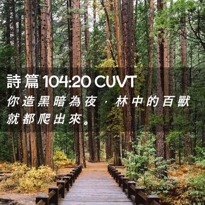 Picture 02 - 詩 篇 104:20 CUVT - 你 造 黑 暗 為 夜 ， 林 中 的 百 獸 - Bible Verse Picture