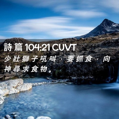 Picture 02 - 詩 篇 104:21 CUVT - 少 壯 獅 子 吼 叫 ， 要 抓 食 ， 向 - Bible Verse Picture