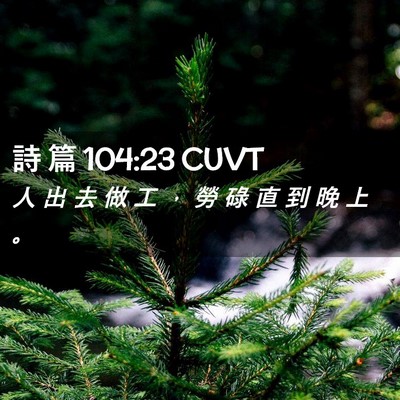 Picture 02 - 詩 篇 104:23 CUVT - 人 出 去 做 工 ， 勞 碌 直 到 晚 上 - Bible Verse Picture