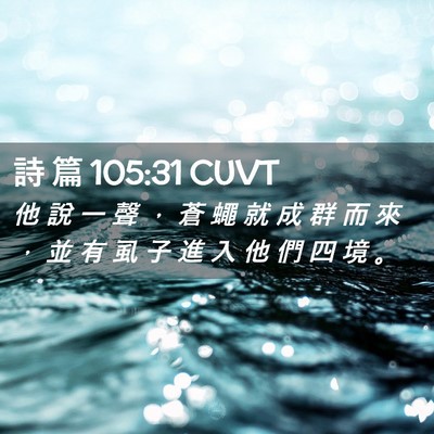 Picture 02 - 詩 篇 105:31 CUVT - 他 說 一 聲 ， 蒼 蠅 就 成 群 而 來 - Bible Verse Picture