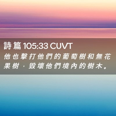 Picture 02 - 詩 篇 105:33 CUVT - 他 也 擊 打 他 們 的 葡 萄 樹 和 無 - Bible Verse Picture